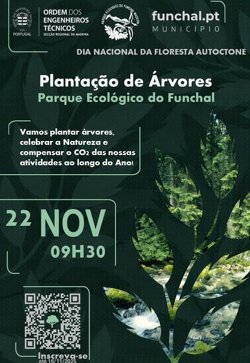 Funchal20251122 Funchal20251122